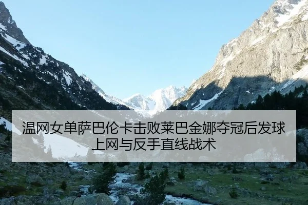 wen-wang-nv-dan-sa-ba-lun-ka-ji-bai-lai-ba-jin-na-duo-guan-hou-fa-qiu-shang-wang-yu-fan-shou-zhi-xian-zhan-shu-2-355.jpg
