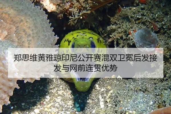 zheng-si-wei-huang-ya-qiong-yin-ni-gong-kai-sai-hun-shuang-wei-mian-hou-fa-jie-fa-yu-wang-qian-lian-guan-you-shi-3-500.jpg